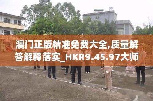 澳门正版精准免费大全,质量解答解释落实_HKR9.45.97大师版