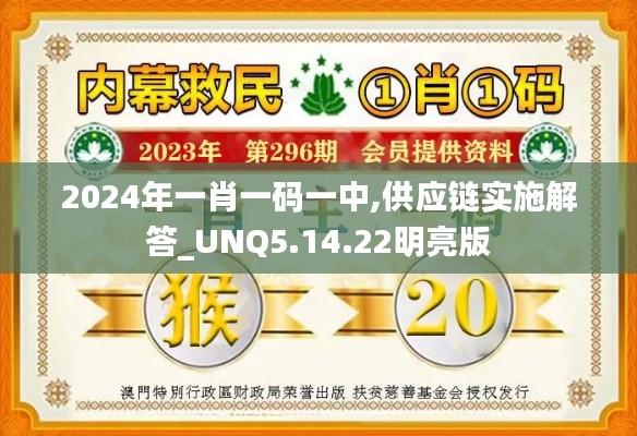 2024年一肖一码一中,供应链实施解答_UNQ5.14.22明亮版