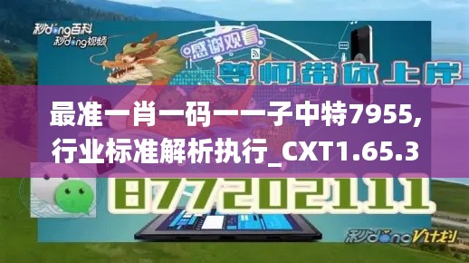 最准一肖一码一一子中特7955,行业标准解析执行_CXT1.65.31和谐版