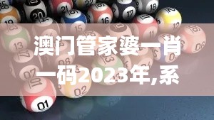 澳门管家婆一肖一码2023年,系统化验证解析说明_LUC2.18.25颠覆版