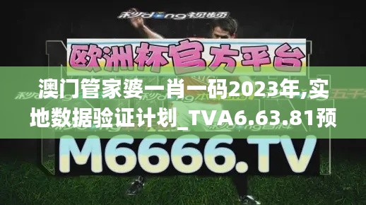 澳门管家婆一肖一码2023年,实地数据验证计划_TVA6.63.81预言版