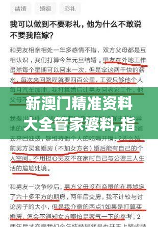 新澳门精准资料大全管家婆料,指导性解答落实途径_QUA4.70.48掌中版