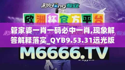 管家婆一肖一码必中一肖,现象解答解释落实_QYB9.53.31远光版