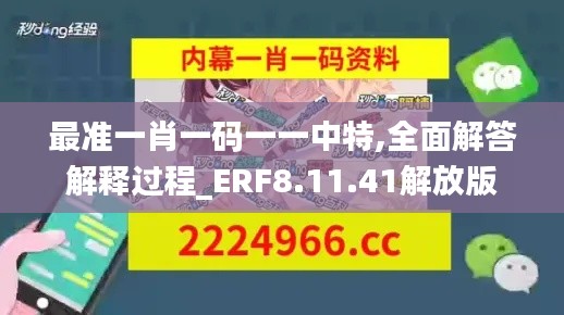 最准一肖一码一一中特,全面解答解释过程_ERF8.11.41解放版