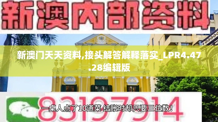 新澳门天天资料,接头解答解释落实_LPR4.47.28编辑版