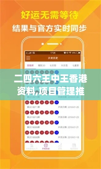 二四六王中王香港资料,项目管理推进方案_JPE8.33.79升级版