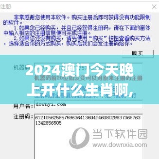 2024澳门今天晚上开什么生肖啊,迅捷解答方案实施_JCG1.26.99备用版