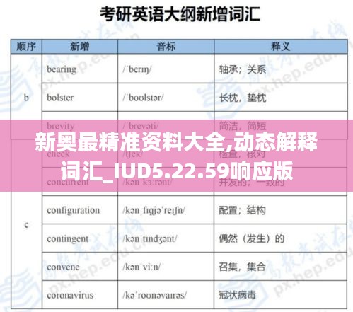 新奥最精准资料大全,动态解释词汇_IUD5.22.59响应版