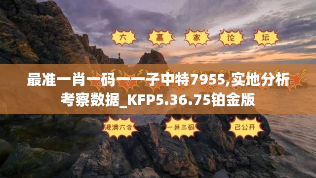 最准一肖一码一一子中特7955,实地分析考察数据_KFP5.36.75铂金版