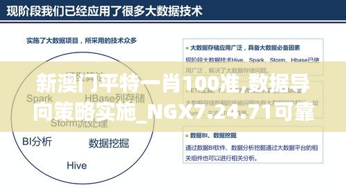 新澳门平特一肖100准,数据导向策略实施_NGX7.24.71可靠版