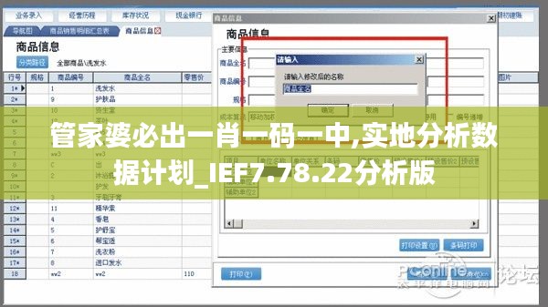 管家婆必出一肖一码一中,实地分析数据计划_IEF7.78.22分析版