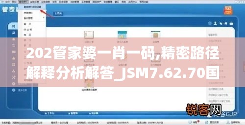 202管家婆一肖一码,精密路径解释分析解答_JSM7.62.70国际版