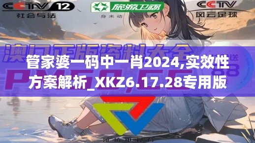 管家婆一码中一肖2024,实效性方案解析_XKZ6.17.28专用版