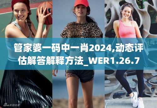 管家婆一码中一肖2024,动态评估解答解释方法_WER1.26.77稀缺版