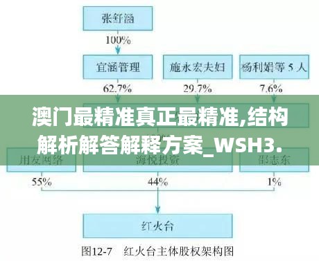 澳门最精准真正最精准,结构解析解答解释方案_WSH3.20.41温馨版