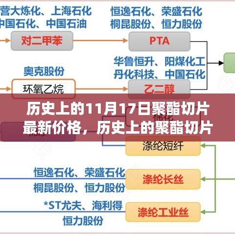 历史上的聚酯切片价格之旅，探寻美景与内心平静