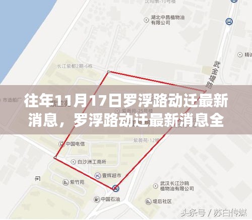 罗浮路动迁最新消息解读，特性、体验、竞品对比与用户洞察分析