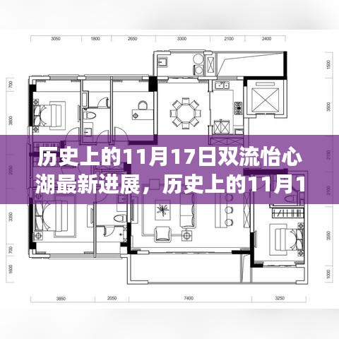 历史上的11月17日双流怡心湖最新进展揭秘，详解与任务完成指南