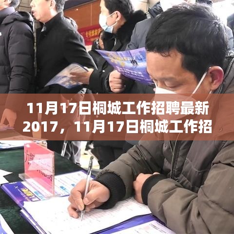 最新深度评测与介绍，11月17日桐城工作招聘2017概览