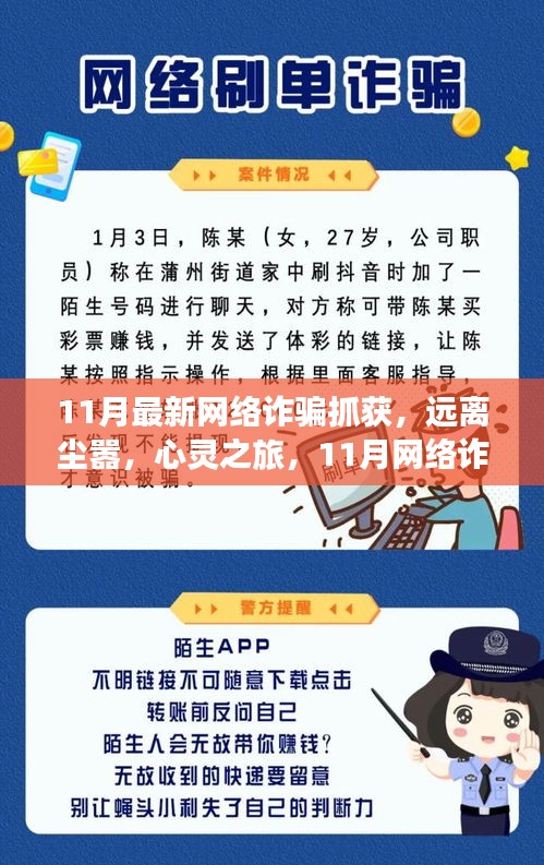 11月网络诈骗风云揭秘，心灵之旅，探寻宁静之地