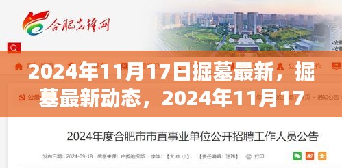 掘墓最新动态，2024年视角与观点深度解析