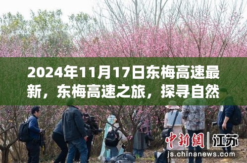 东梅高速之旅，探寻自然美景，心灵宁静之旅（最新消息，2024年11月17日）