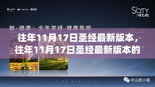 圣经最新版本的解读与探讨，历年11月17日的深度剖析