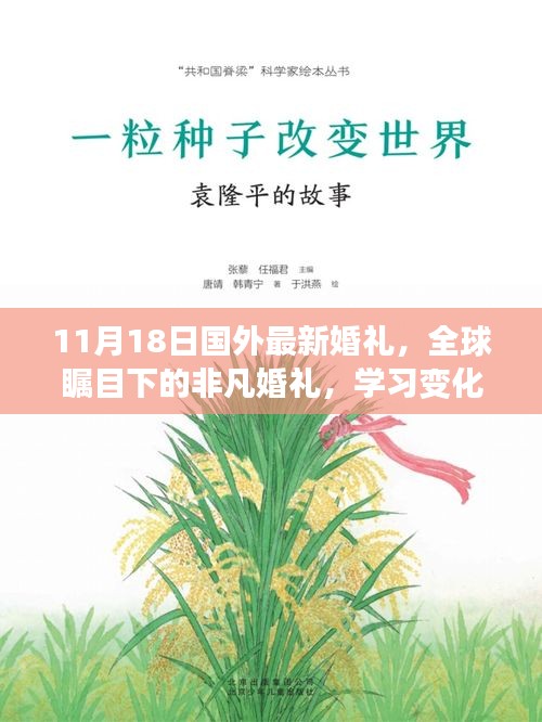 11月18日国外最新婚礼，全球瞩目下的非凡婚礼，学习变化的力量，自信与成就感的诞生