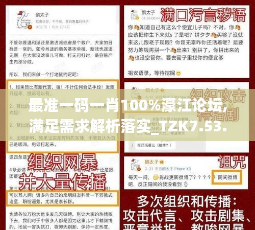 最准一码一肖100%濠江论坛,满足需求解析落实_TZK7.53.82工具版