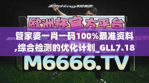 管家婆一肖一码100%最准资料,综合检测的优化计划_GLL7.18.59自在版