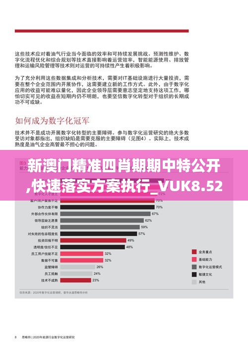 新澳门精准四肖期期中特公开,快速落实方案执行_VUK8.52.72动漫版