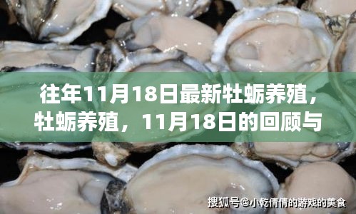 往年11月18日最新牡蛎养殖，牡蛎养殖，11月18日的回顾与展望