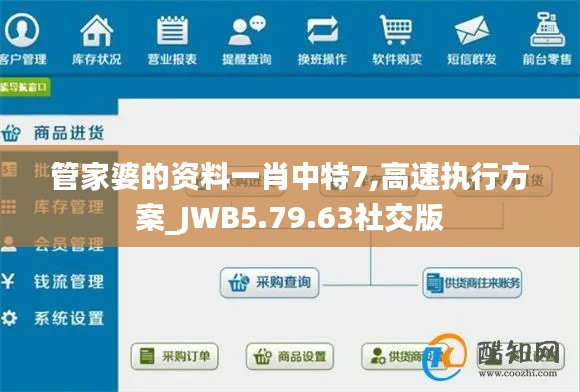 管家婆的资料一肖中特7,高速执行方案_JWB5.79.63社交版