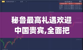 秘鲁最高礼遇欢迎中国贵宾,全面把握解答解释计划_LST4.32.25编程版