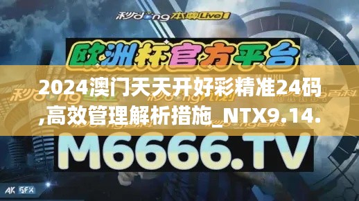 2024澳门天天开好彩精准24码,高效管理解析措施_NTX9.14.81超清版