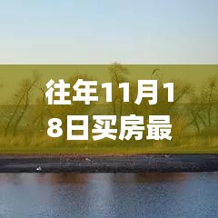 往年11月18日买房最新楼盘，那天，阳光下的家园梦——我与新楼盘的温馨故事