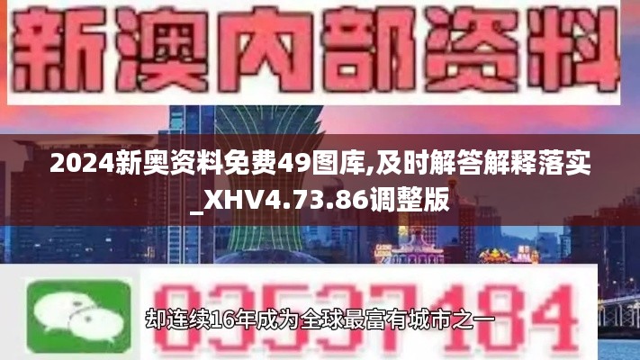 2024新奥资料免费49图库,及时解答解释落实_XHV4.73.86调整版