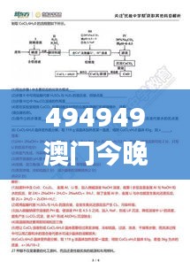 494949澳门今晚开什么454411,权威解析方案解答解释_SME9.15.77精致版