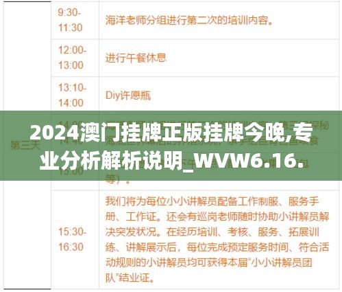 2024澳门挂牌正版挂牌今晚,专业分析解析说明_WVW6.16.82七天版