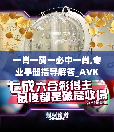 一肖一码一必中一肖,专业手册指导解答_AVK2.57.94专家版