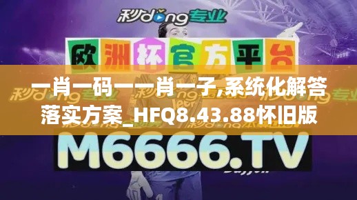 一肖一码一一肖一子,系统化解答落实方案_HFQ8.43.88怀旧版