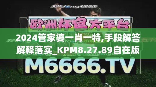 2024管家婆一肖一特,手段解答解释落实_KPM8.27.89自在版