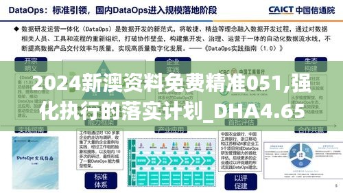 2024新澳资料免费精准051,强化执行的落实计划_DHA4.65.75全景版