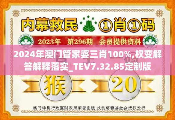 2024年澳门管家婆三肖100%,权变解答解释落实_TEV7.32.85定制版