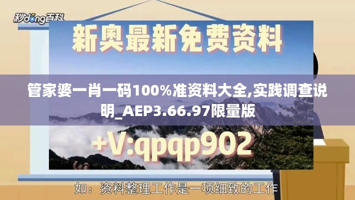 管家婆一肖一码100%准资料大全,实践调查说明_AEP3.66.97限量版