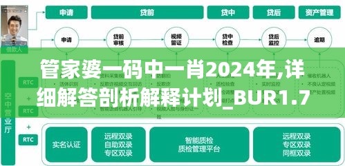 管家婆一码中一肖2024年,详细解答剖析解释计划_BUR1.73.46解密版