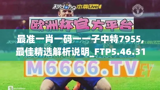 最准一肖一码一一子中特7955,最佳精选解析说明_FTP5.46.31企业版