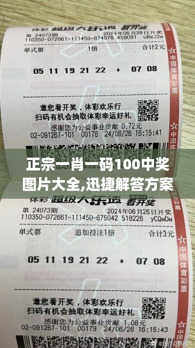 正宗一肖一码100中奖图片大全,迅捷解答方案实施_RQL6.71.81云端共享版