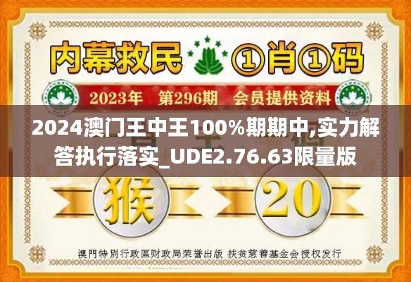 2024澳门王中王100%期期中,实力解答执行落实_UDE2.76.63限量版