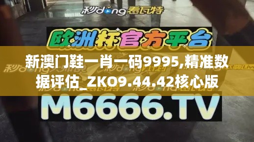 新澳门鞋一肖一码9995,精准数据评估_ZKO9.44.42核心版